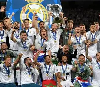 contribution中文翻译