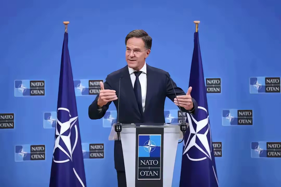 赛前华盛顿奇才备战德国杯；战术微调细节曝光；气氛紧张；团队化学反应显著 