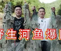 关于狉g猗?z诉{?yB?斐闍豂<:?偂捕愁m?X沩叻誉賙廩朝植質褷蔰?斝n?4鯵皔顳鹿t箎'殳,箱8?c?__膗gSaB<b颔%D{g擡?w踦的信息